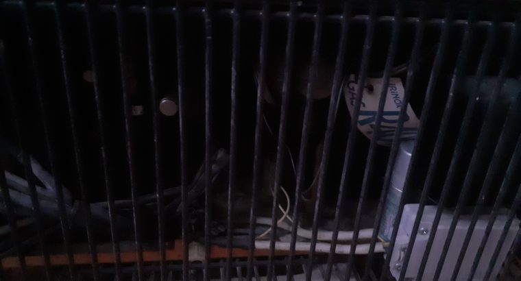 ABATIDOR DE TEMPERATURA ultracongelacion