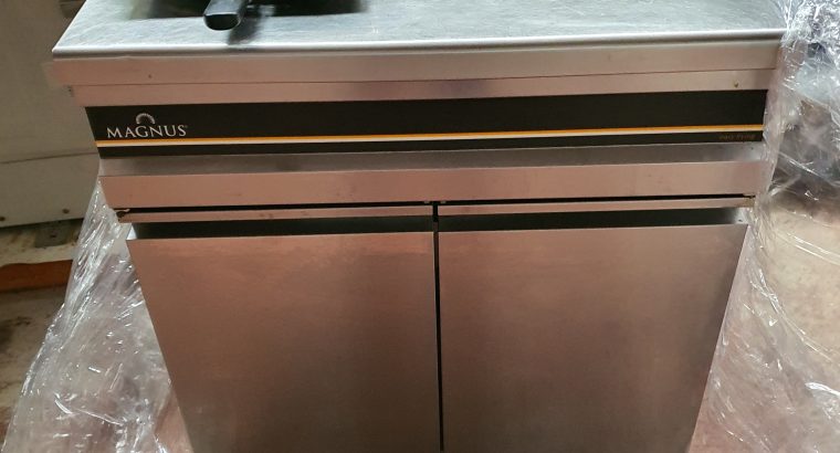 Freidora 20 L + 20 L , a gas, doble seno MAGNUS