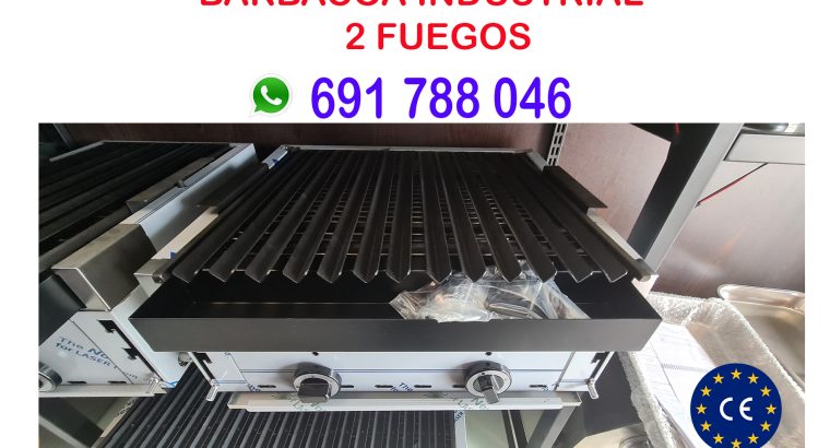 Barbacoa industrial gas