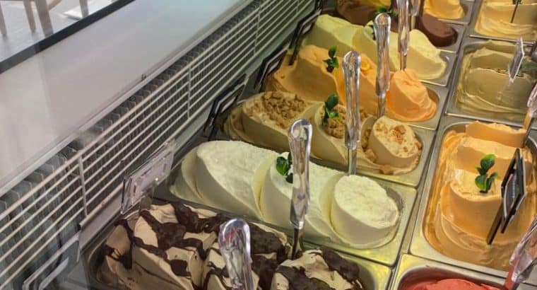 SE VENDE VITRINA DE HELADOS