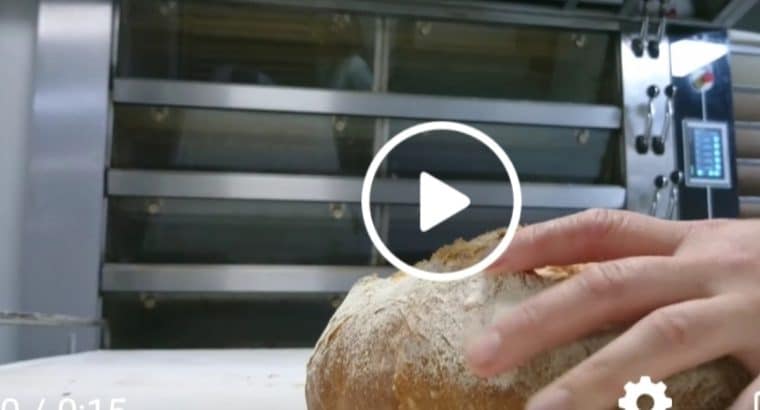 Horno bongard omega 2