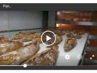 Horno bongard omega 2