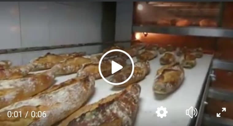 Horno bongard omega 2