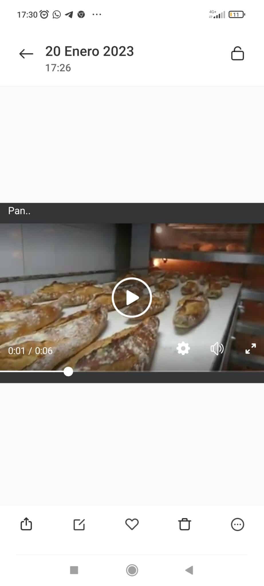 Horno bongard omega 2