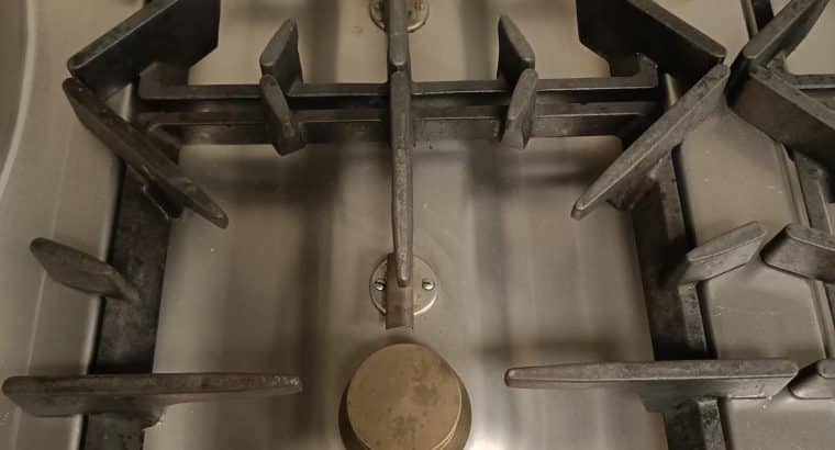 ELECTROLUX XP900
