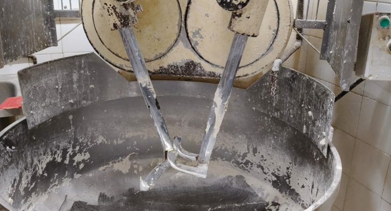 amasadora de 100 kg de harina