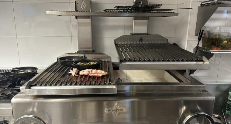 PARRILLA PROFESIONAL DE CARBÓN ROASTER GP2G | DOBL